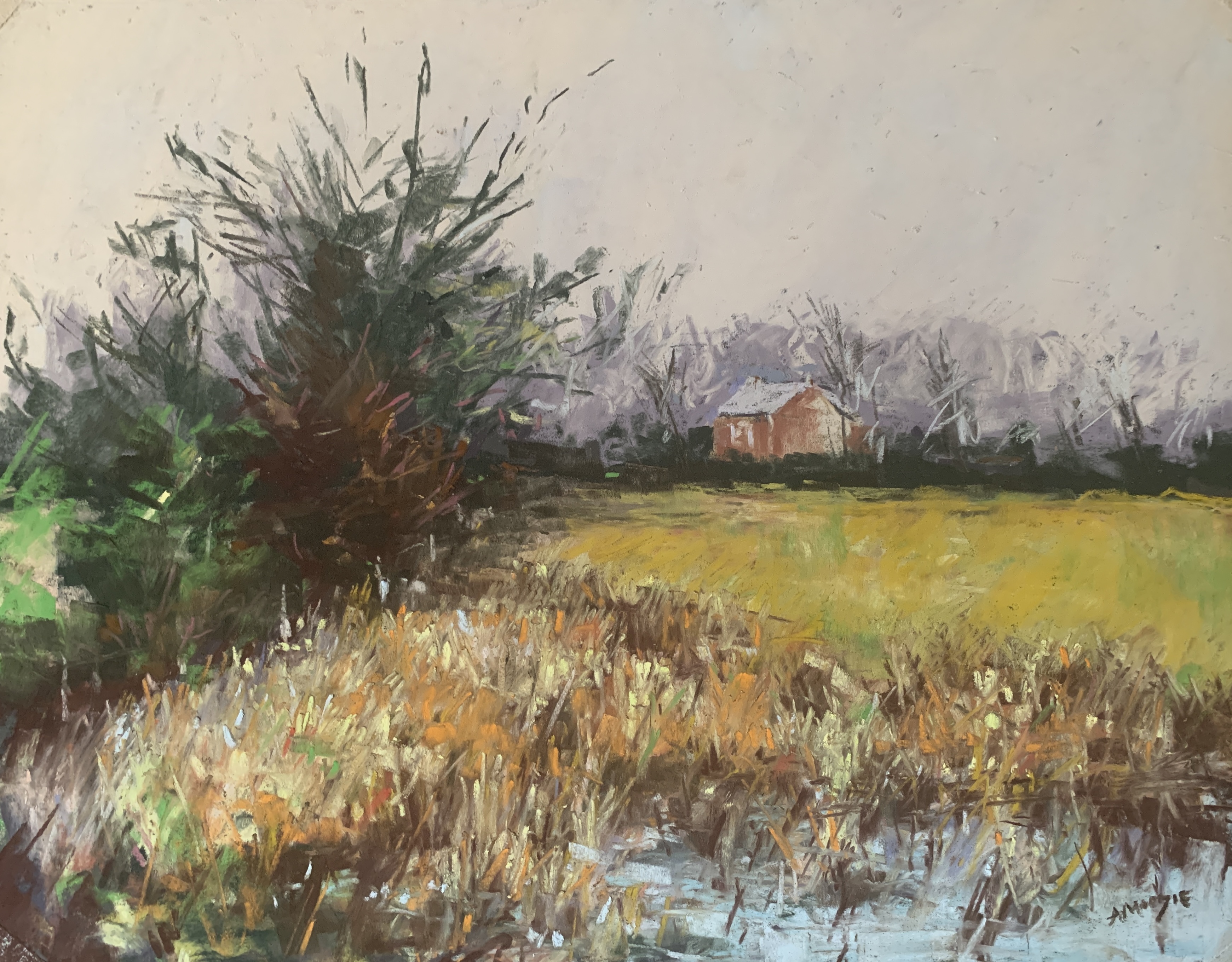 Wetlands Mists (pastel, mounted)