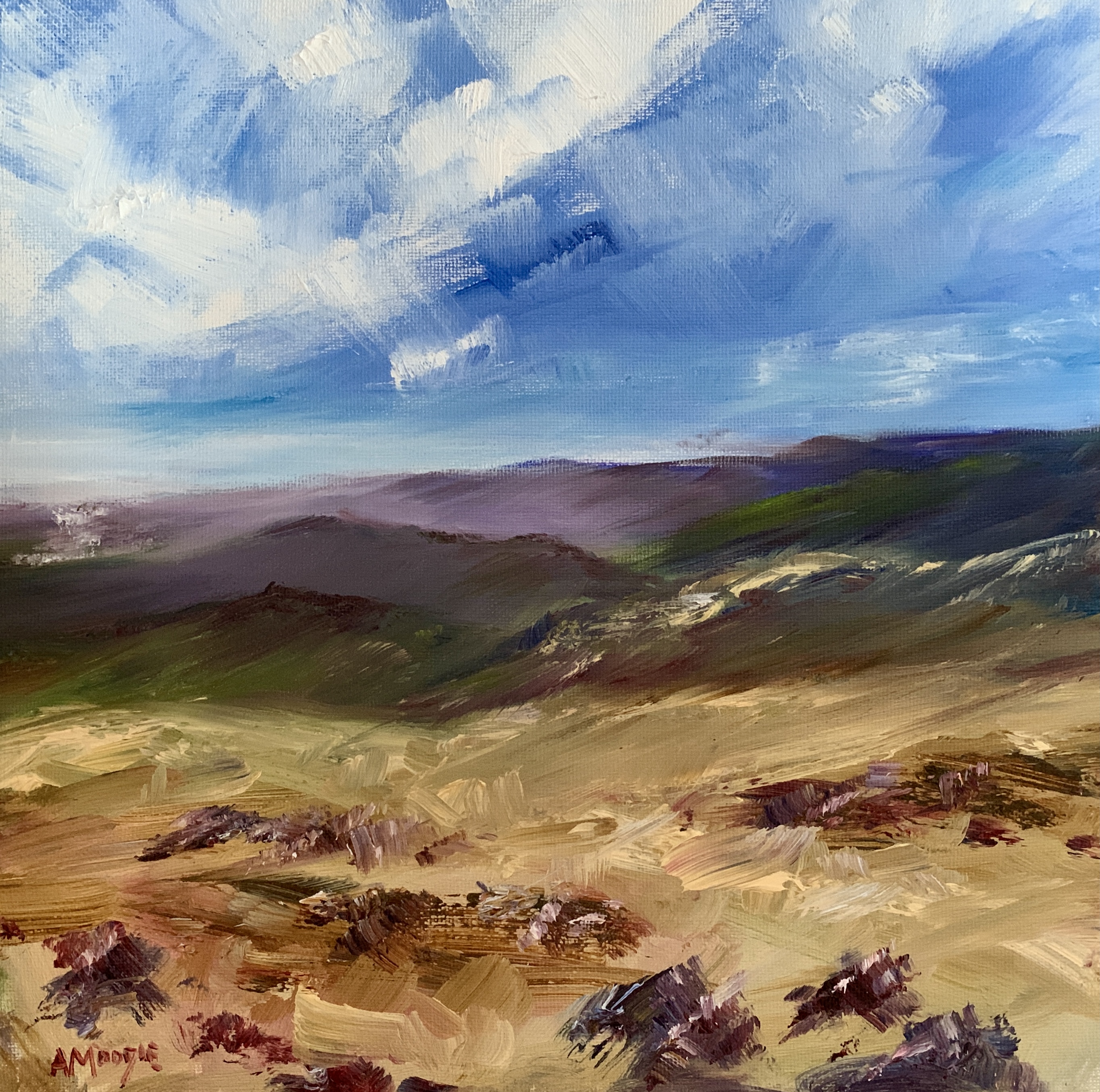 Towards Brothers Water, Lake District (oil on canvas)