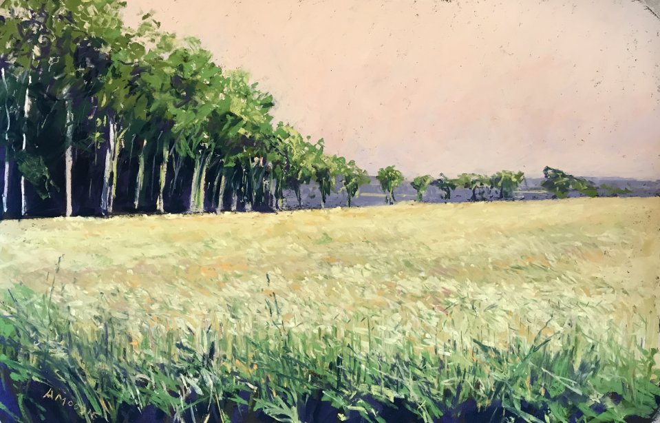 Field of Barley (pastel, framed)