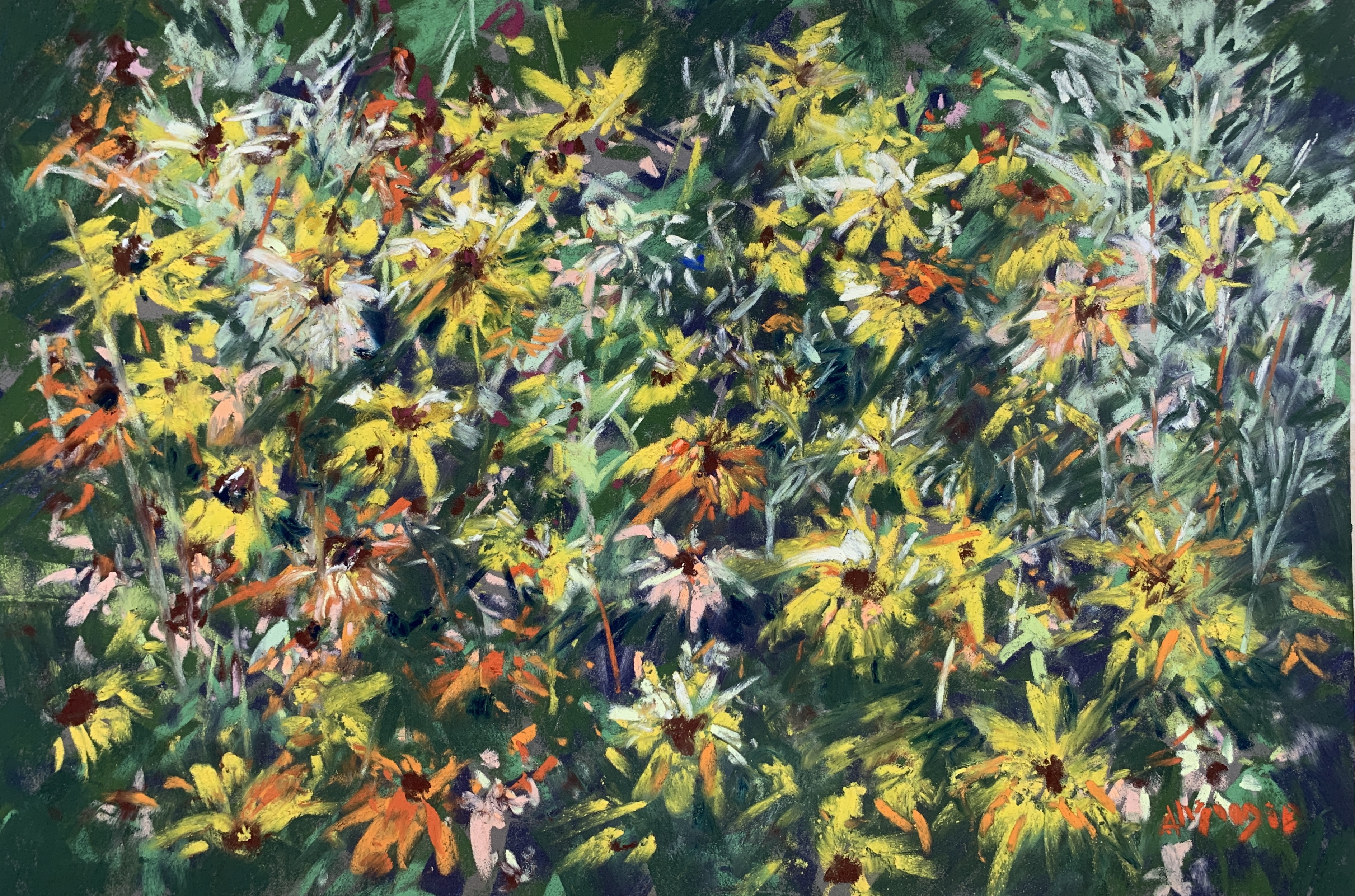 Border Chroma (pastel, mounted)