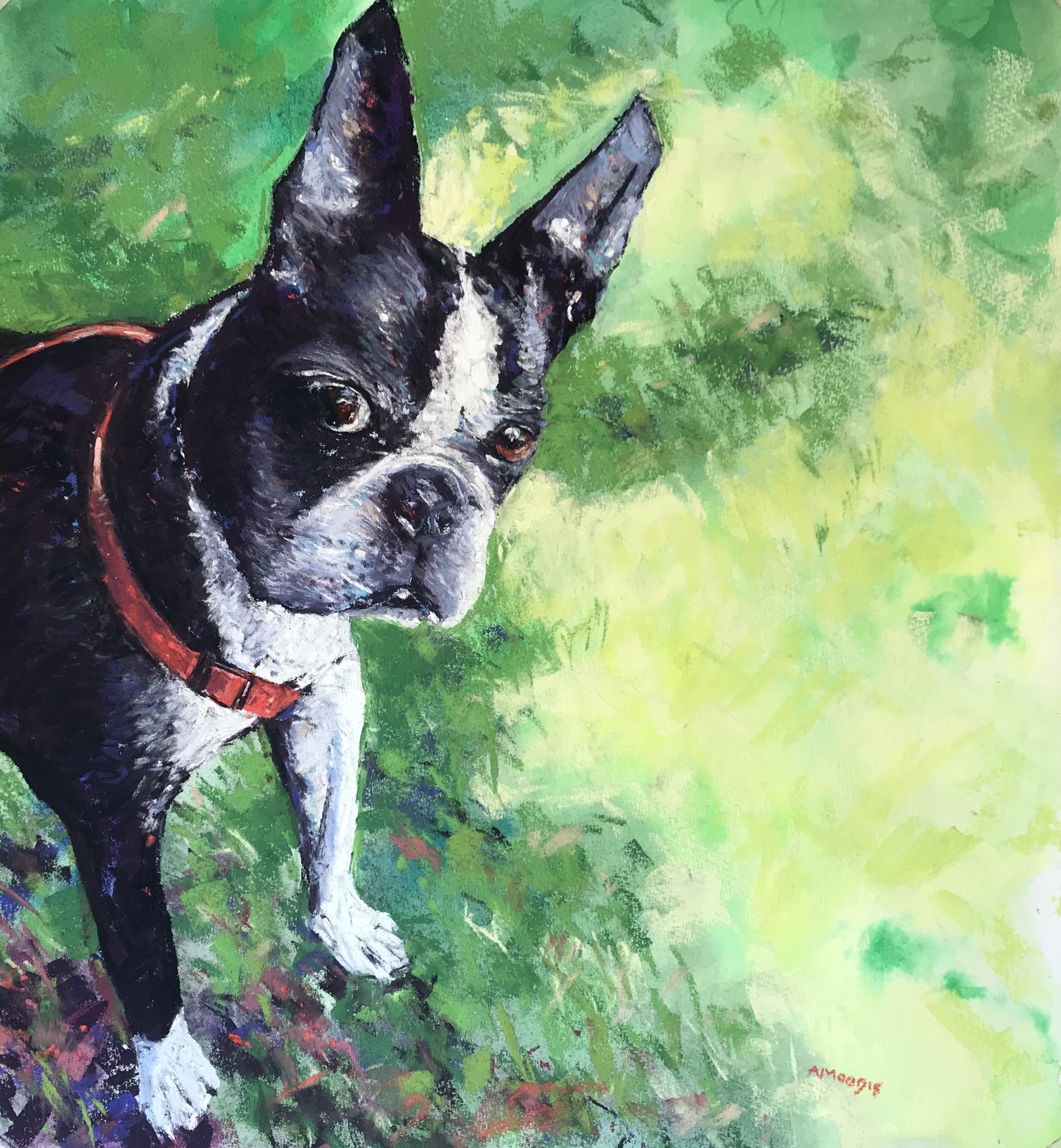 Alfie the Boston (mixed media, framed0
