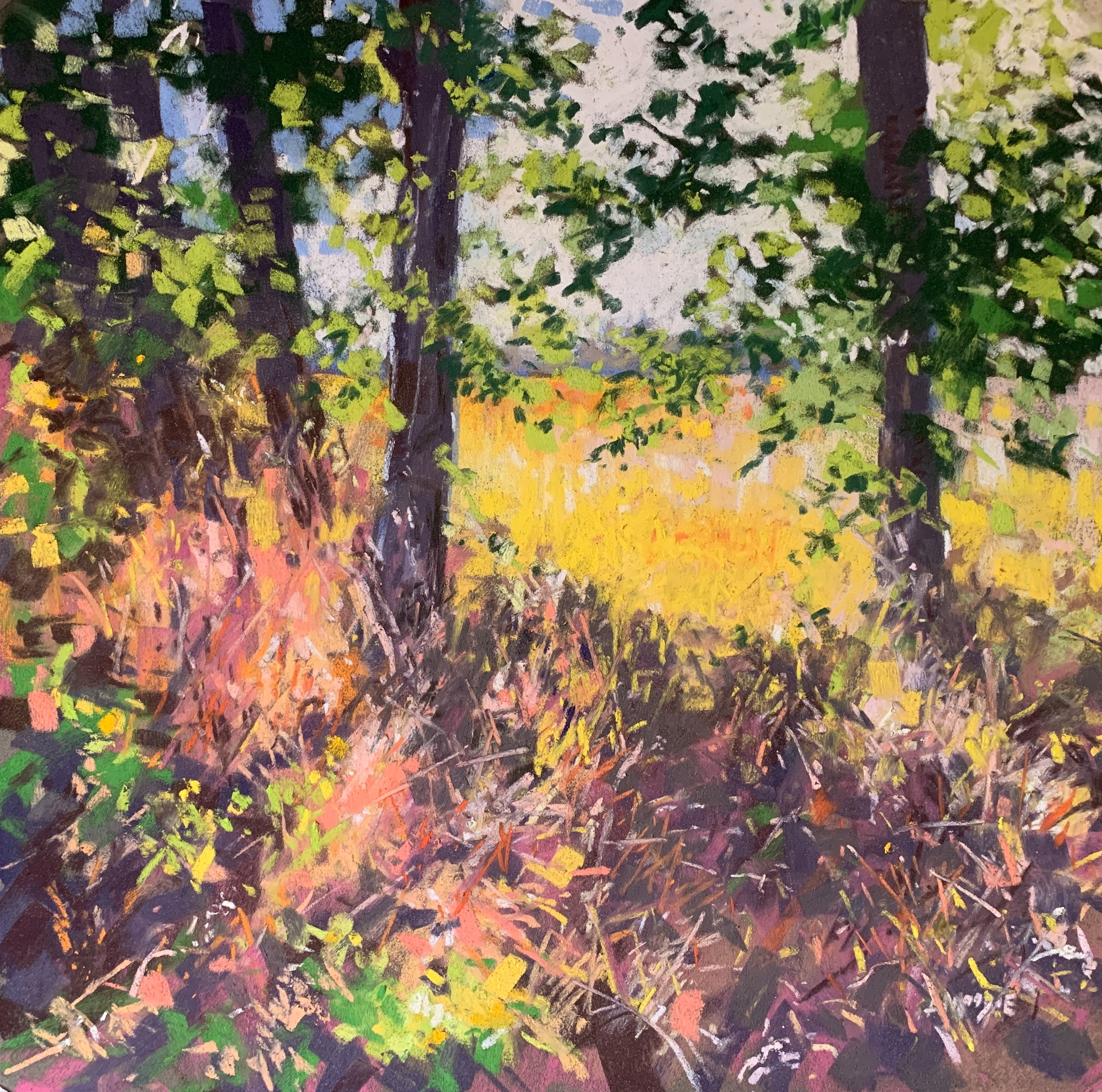 Flooding Light (pastel, mounted)