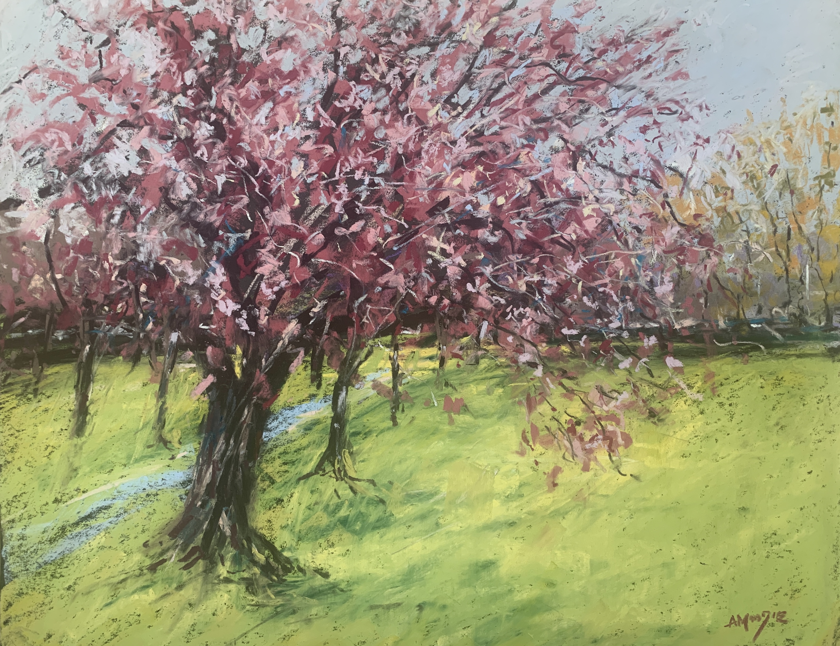 Stray Blossom (pastel, mounted)