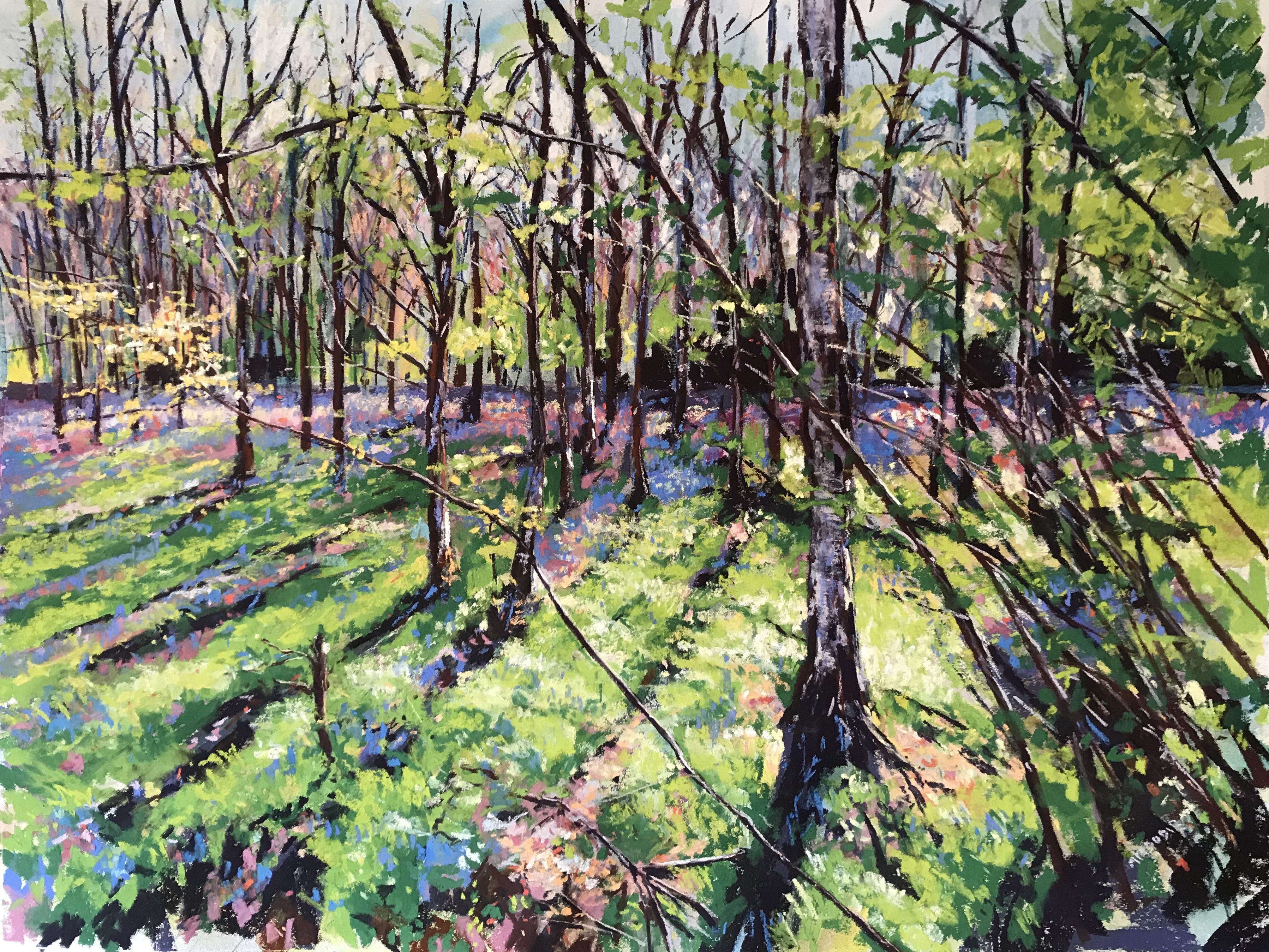 Harrogate Open Art Exhibition 2019
