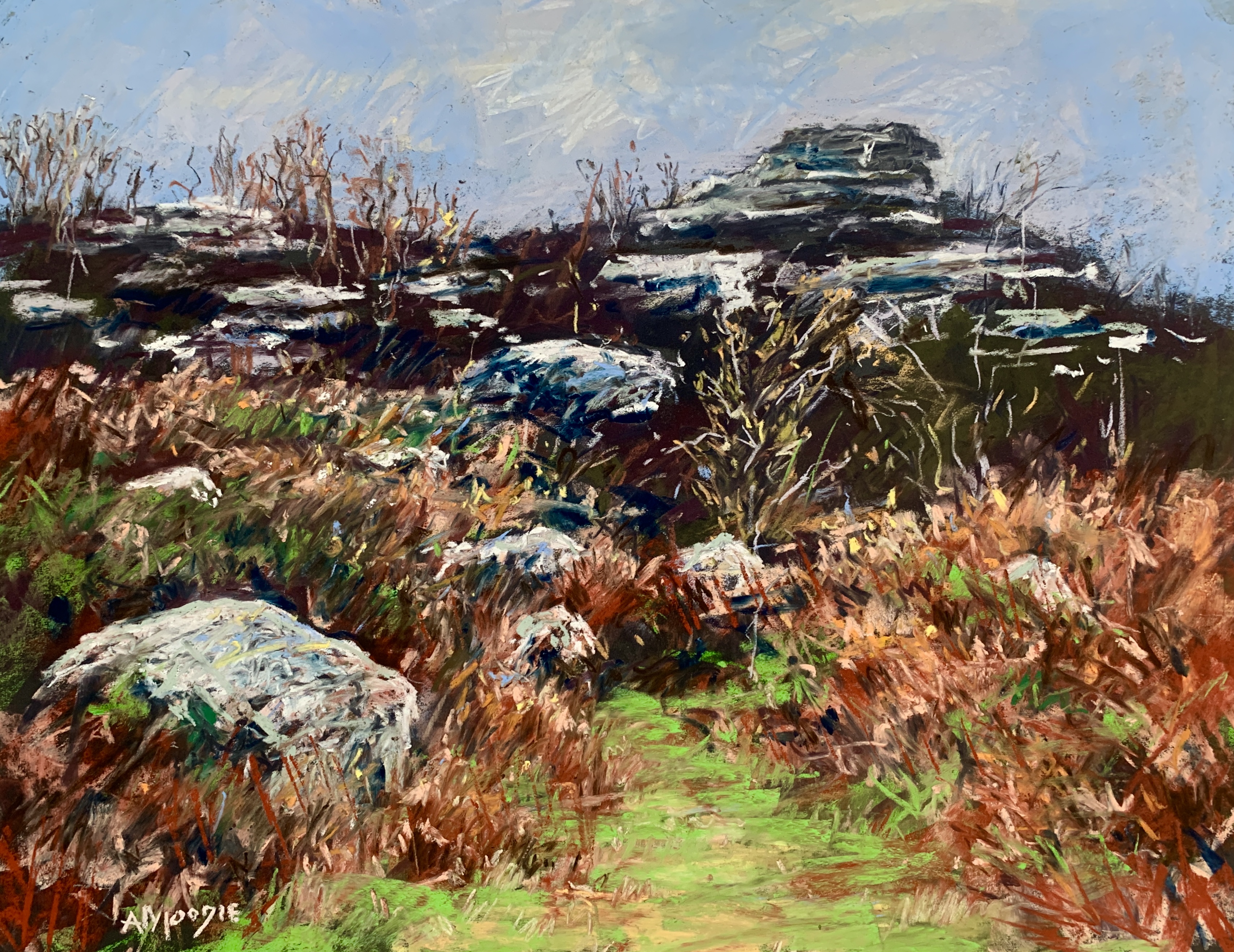 Brimham Rocks Autumn (pastel, mounted)