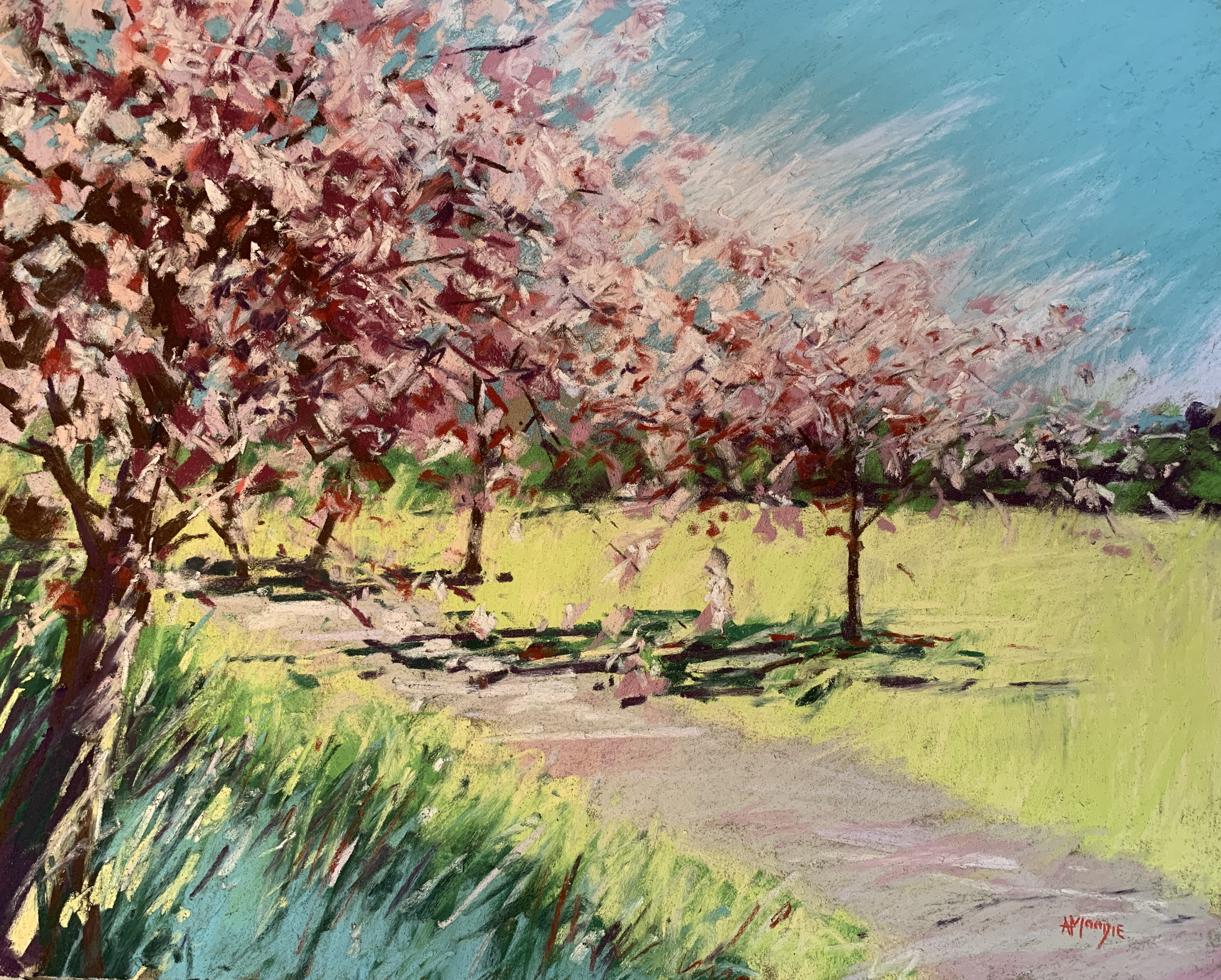 Pink Splendour (pastel, mounted)