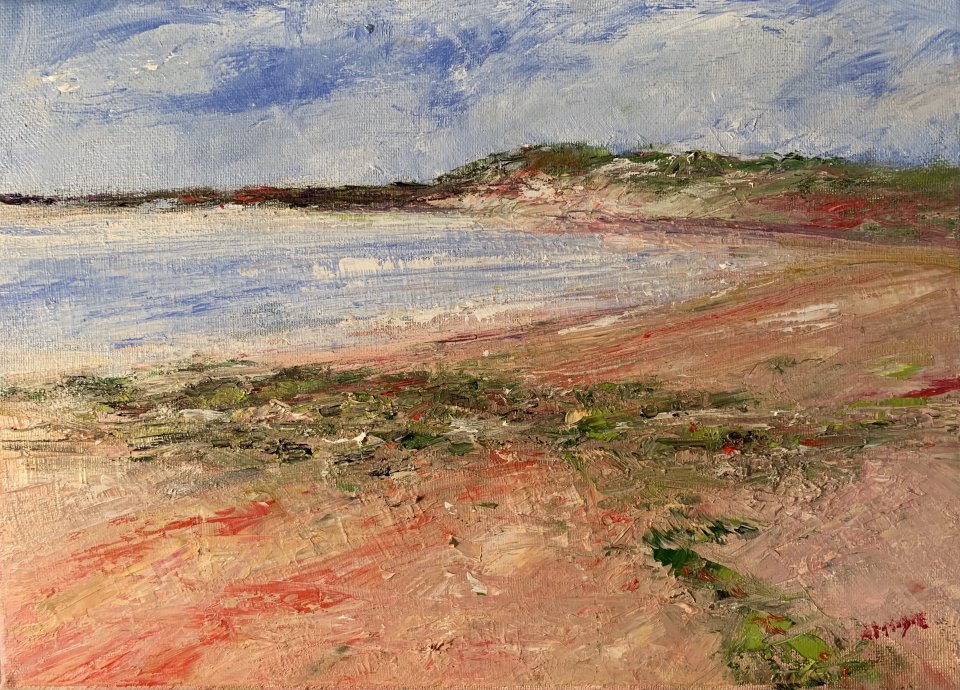 Mosses and Sand, Beadnell (oil on canvas)