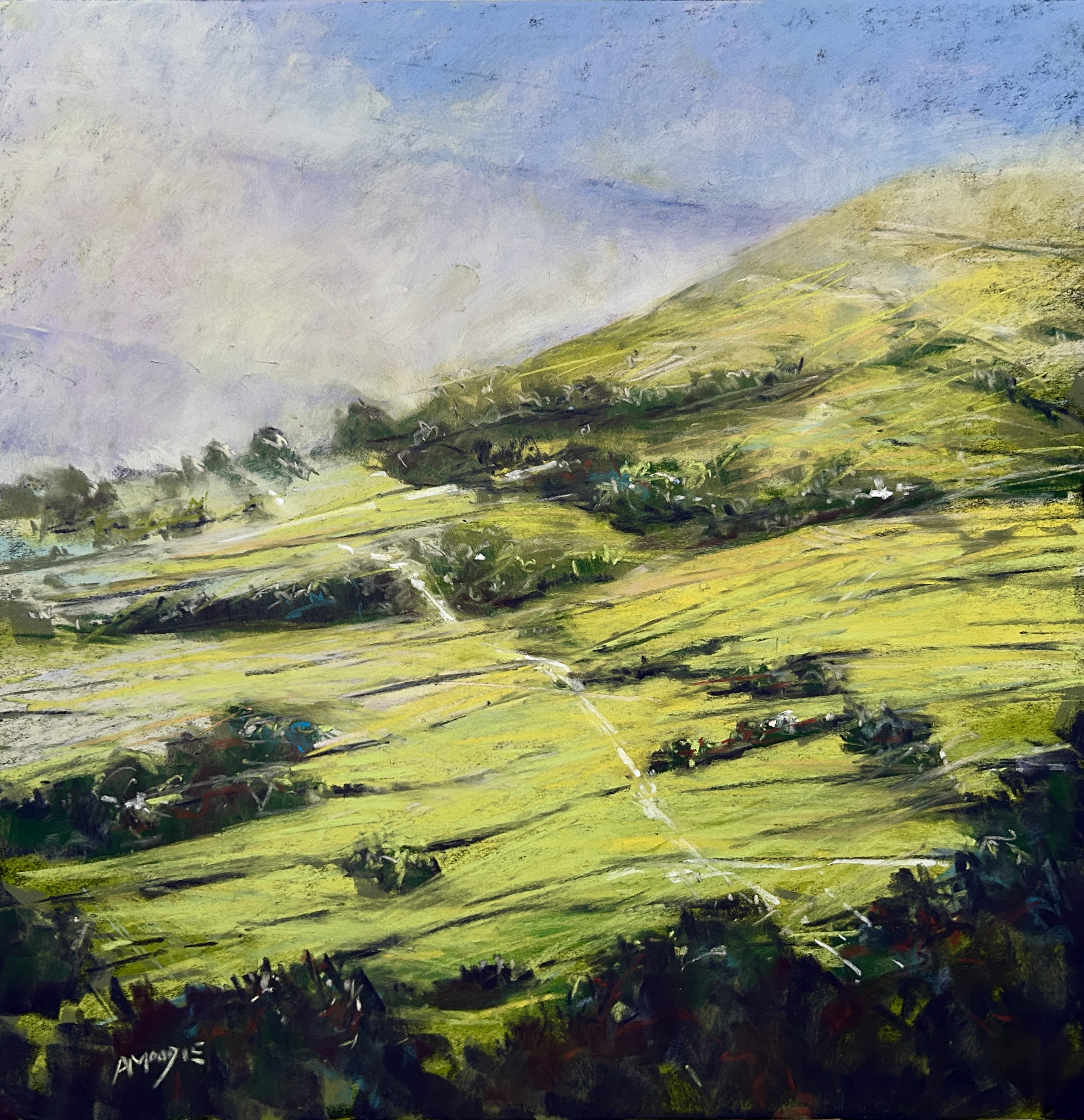 Sunlit Tracks (pastel, mounted)