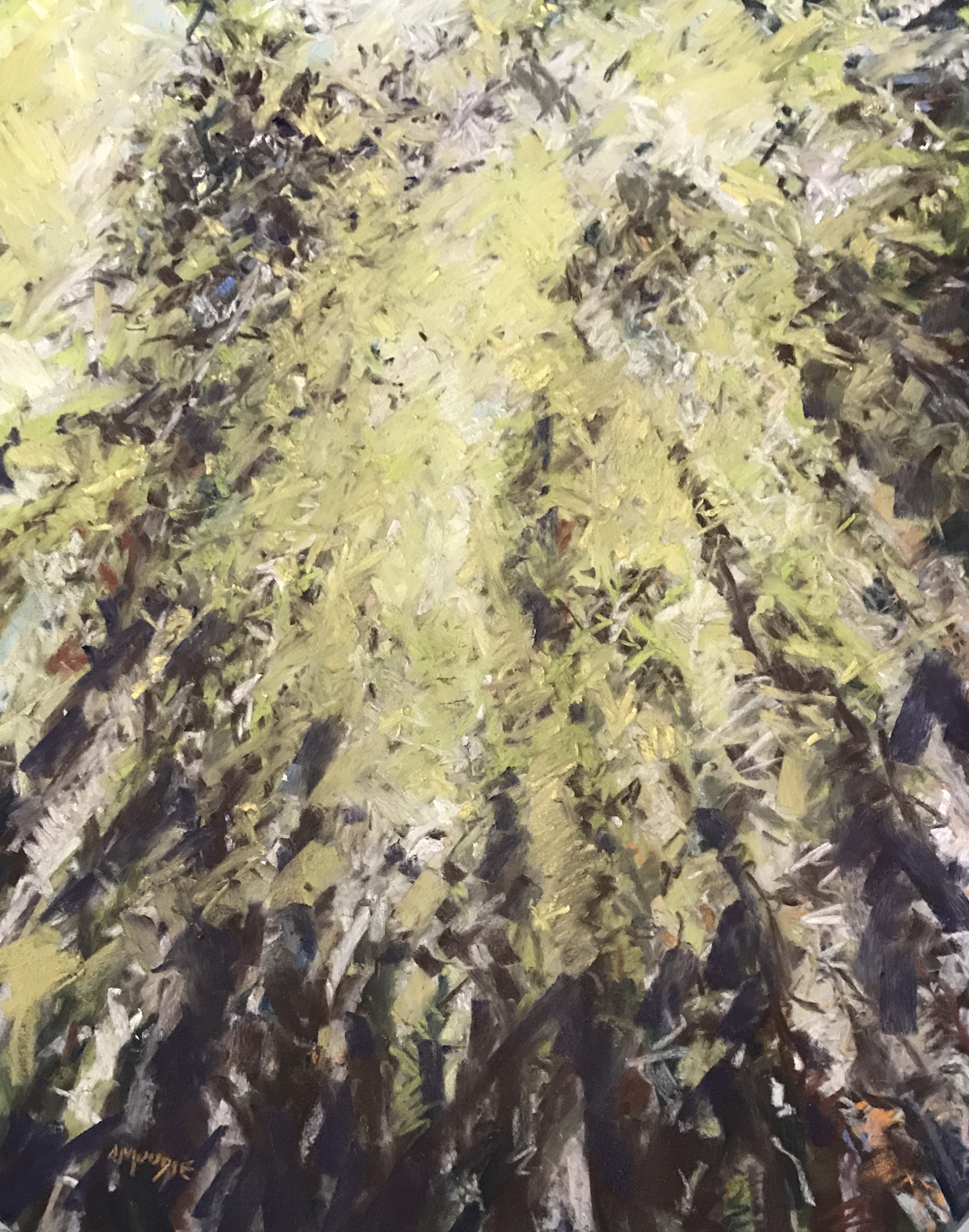 Spires (pastel, mounted)