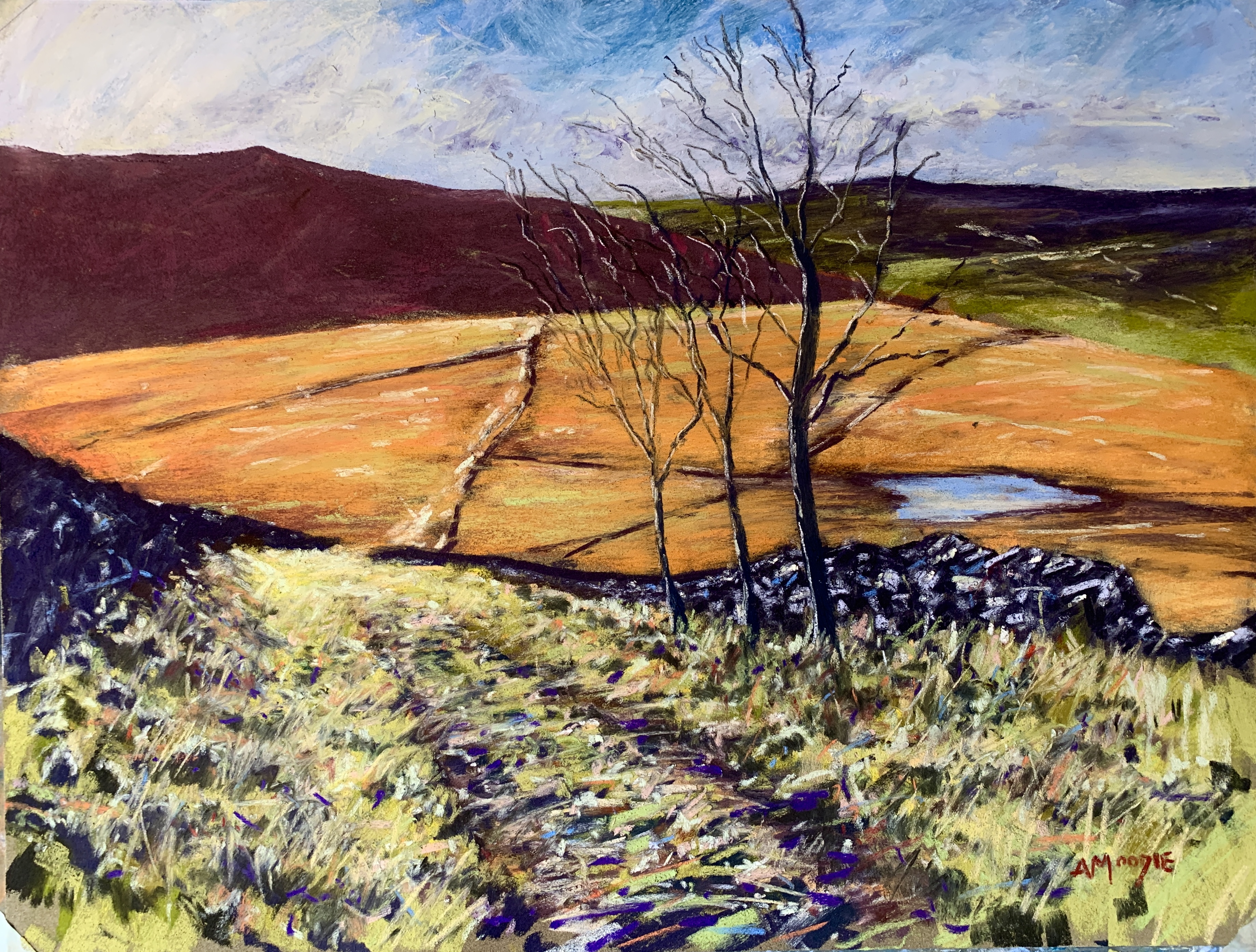 Valley Pathways (pastel, mounted)