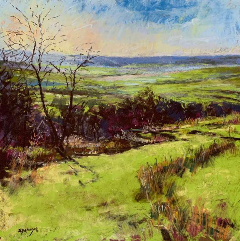 Late Afternoon, Howardian Hills, Yorkshire (pastel, mounted)