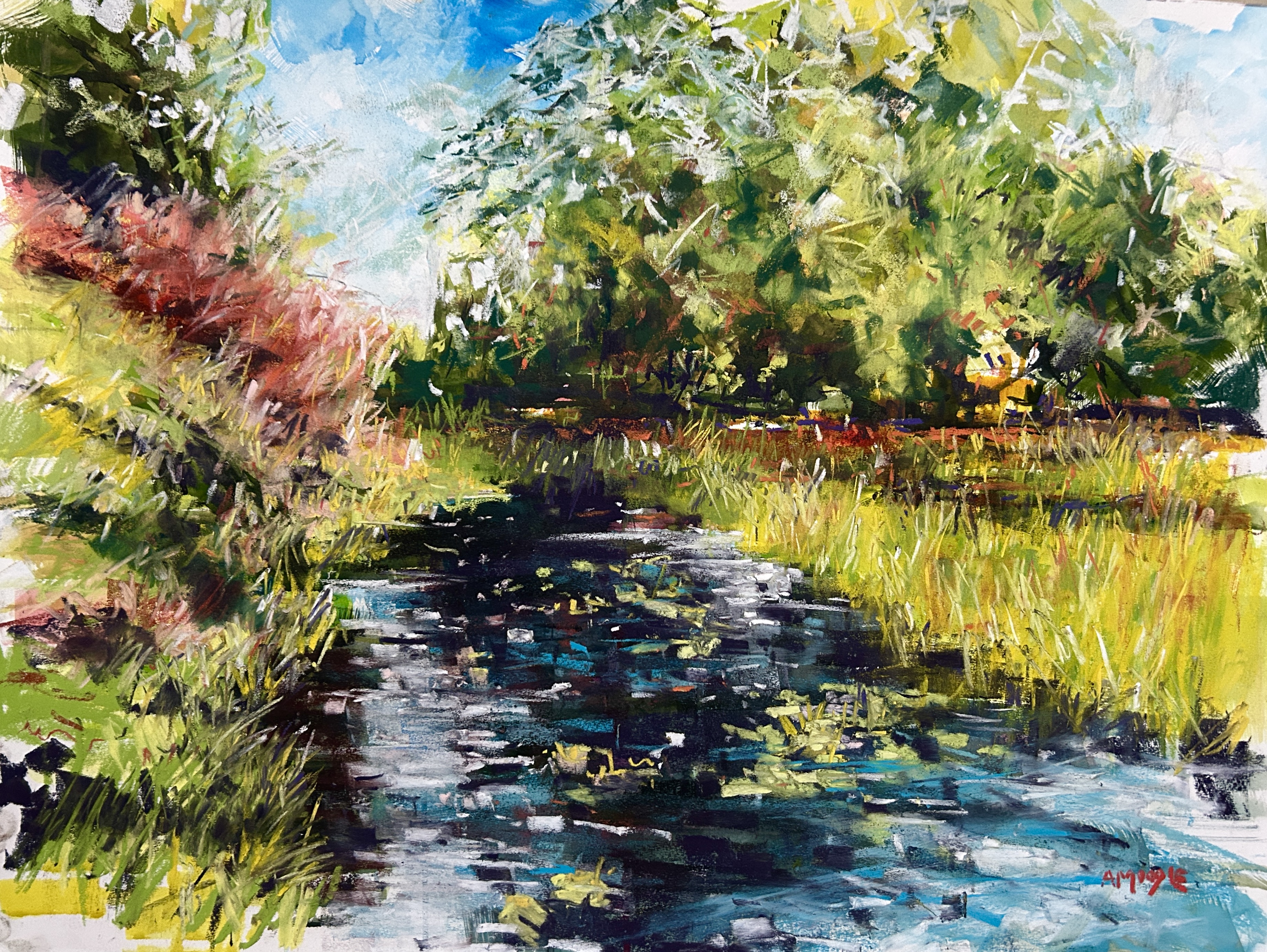 Garden Pond, RHS Harlow Carr (mixed, mounted)