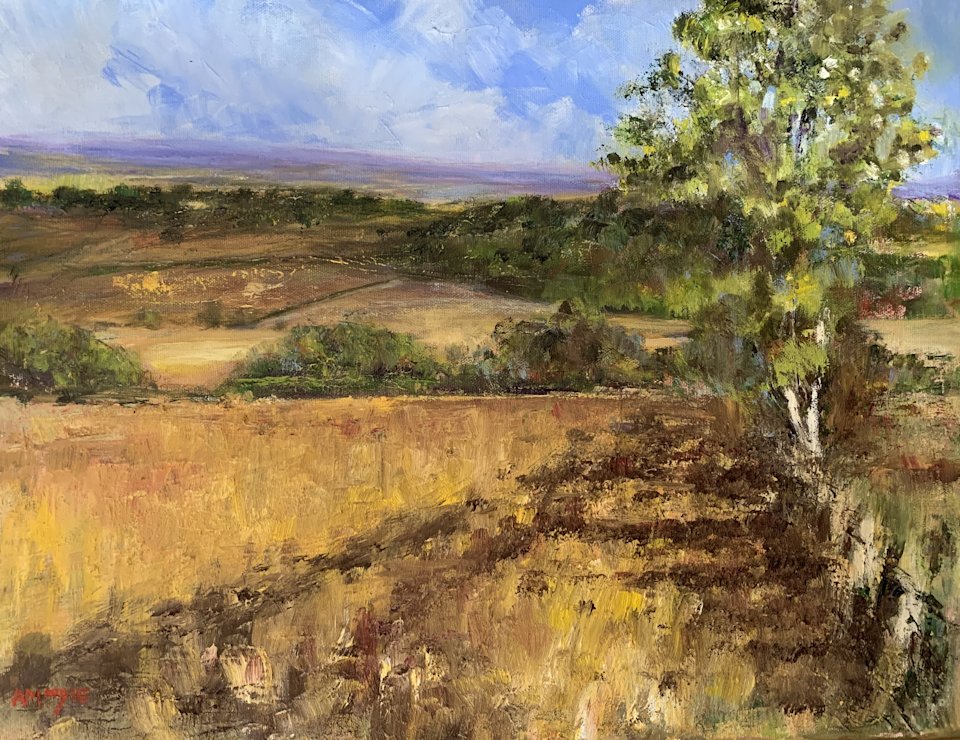 Howardian Landscape (oil on canvas)