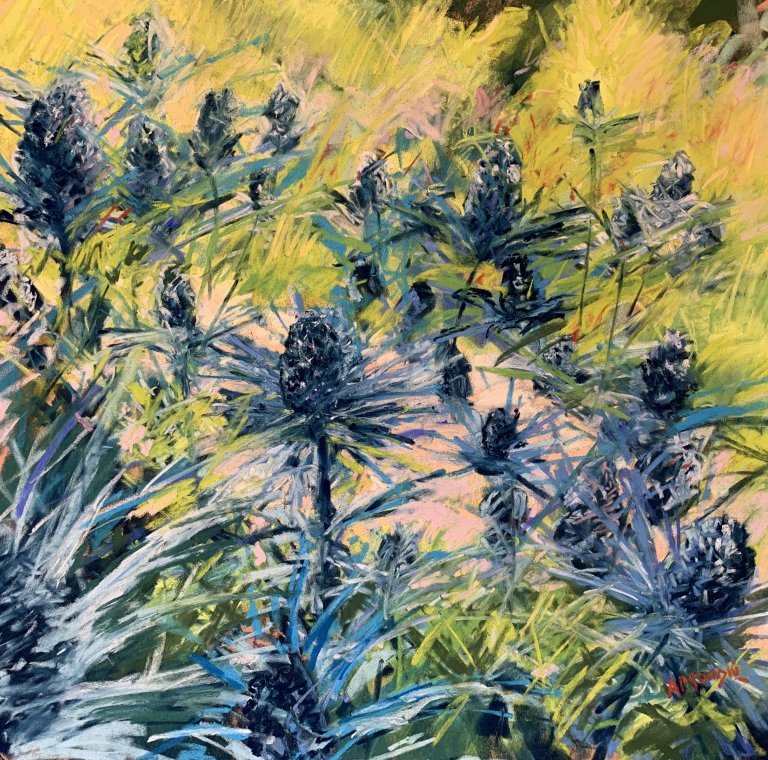 Thistles (pastel, mounted)