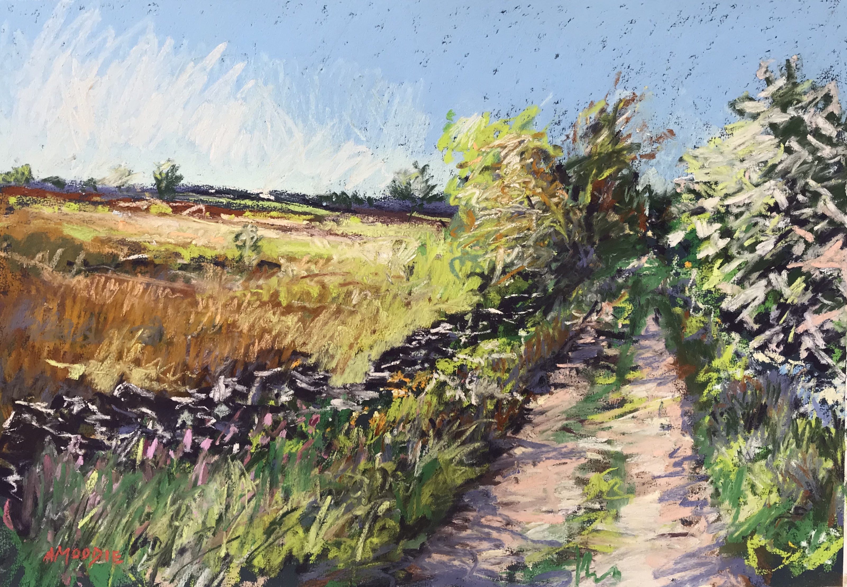 Track and Field (and Wall) (pastel, mounted)