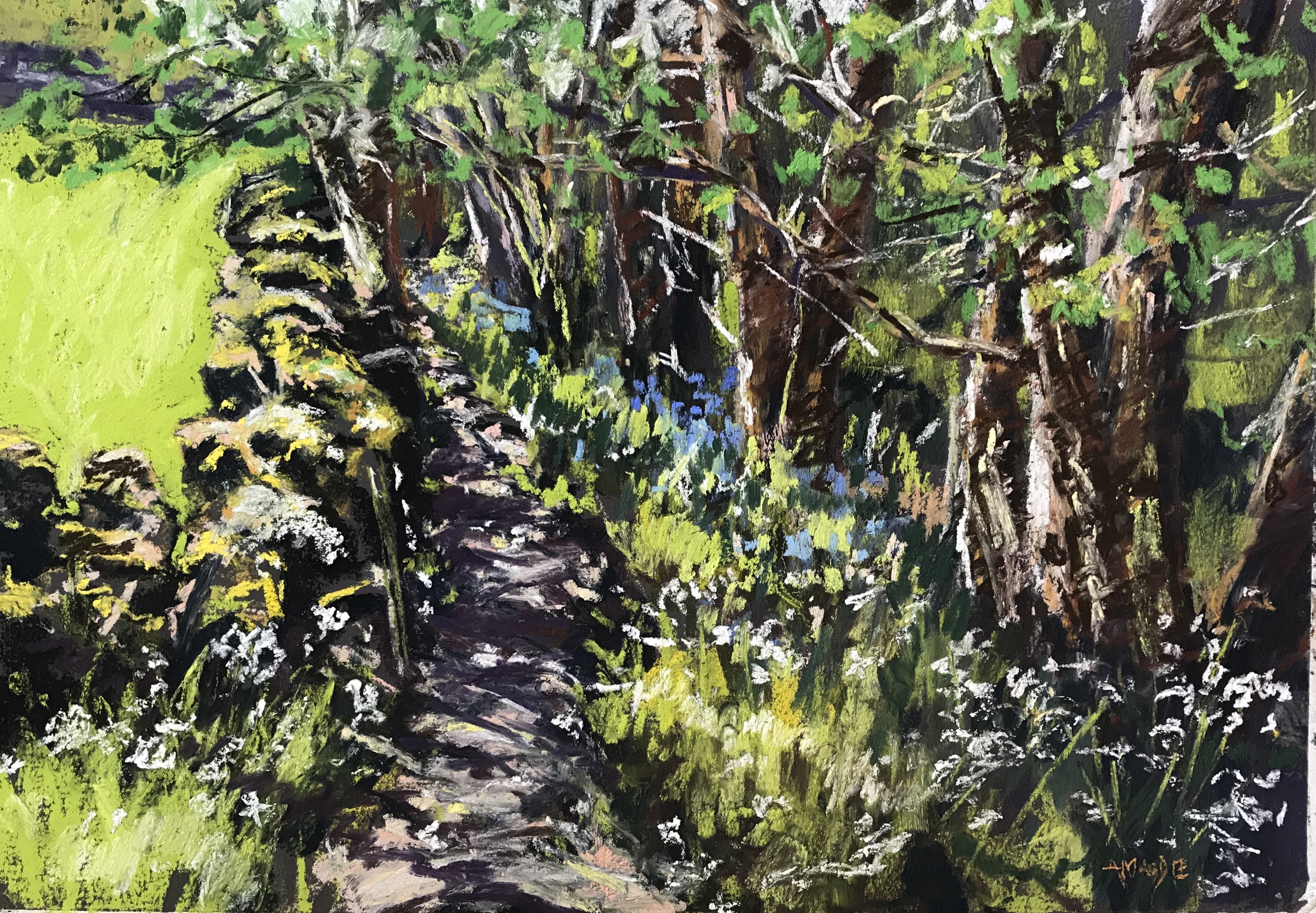 Cow Parsley and Bluebells (pastel, mounted)