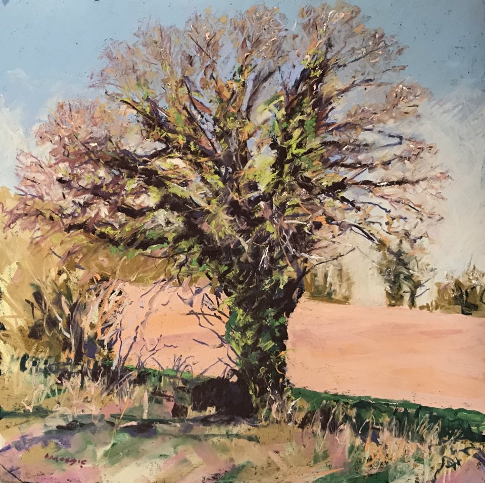 Tree Study (pastel, mounted)