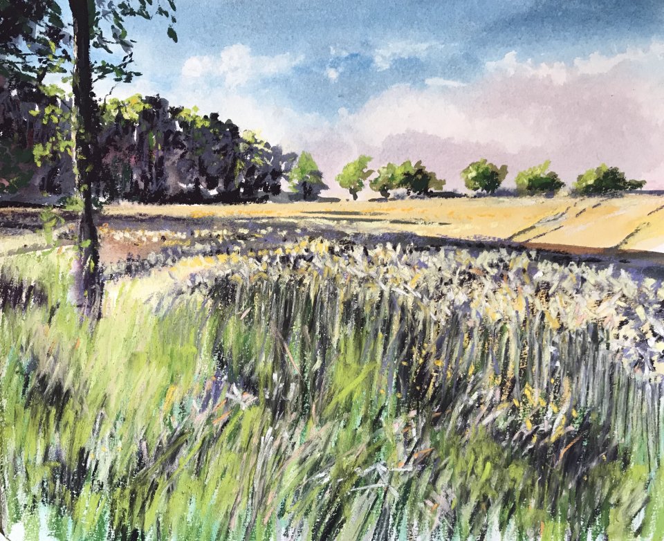 Barley Field, Dordogne (mixed media, mounted)