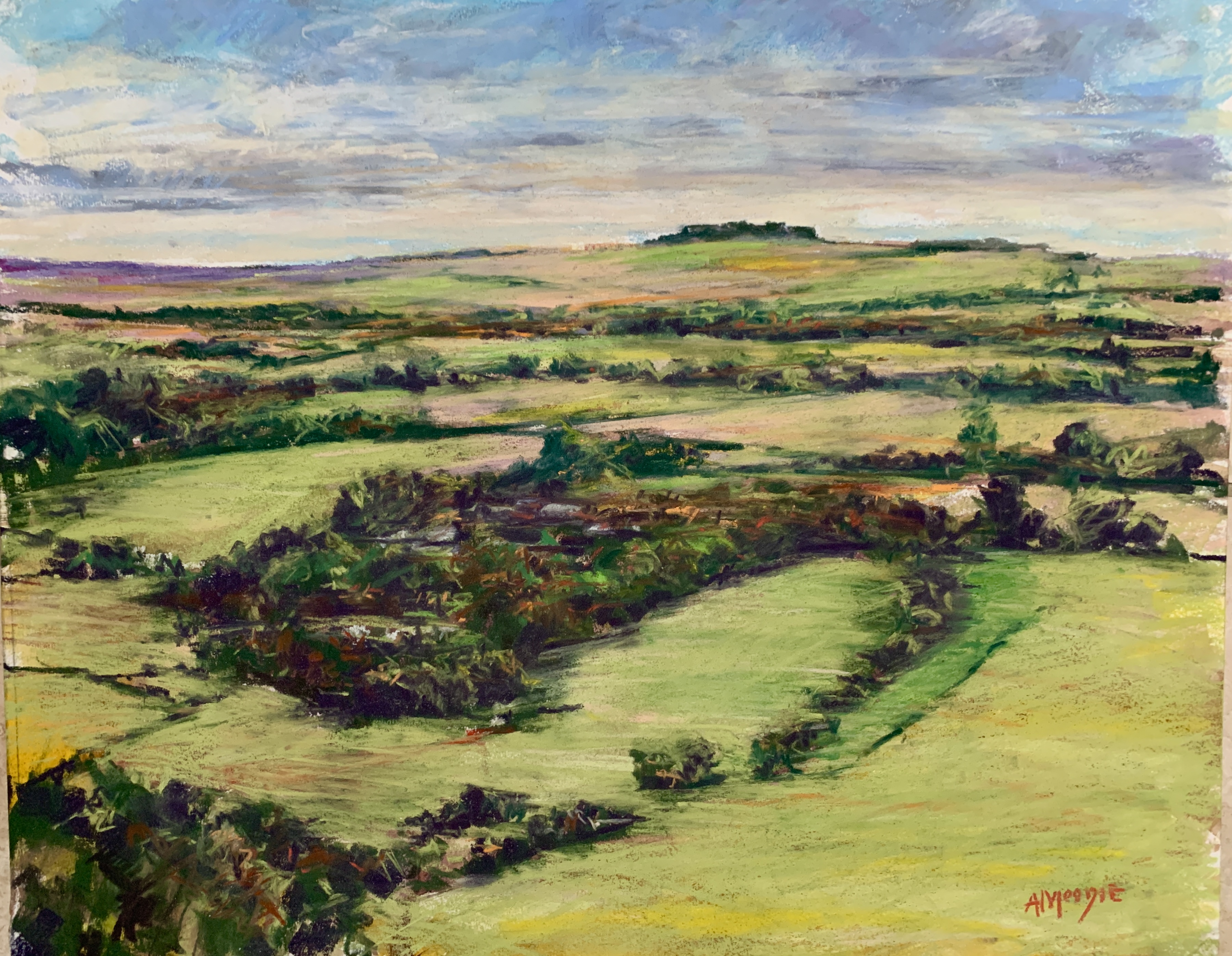 Martinsell Fields , Wiltshire (mixed, mounted)