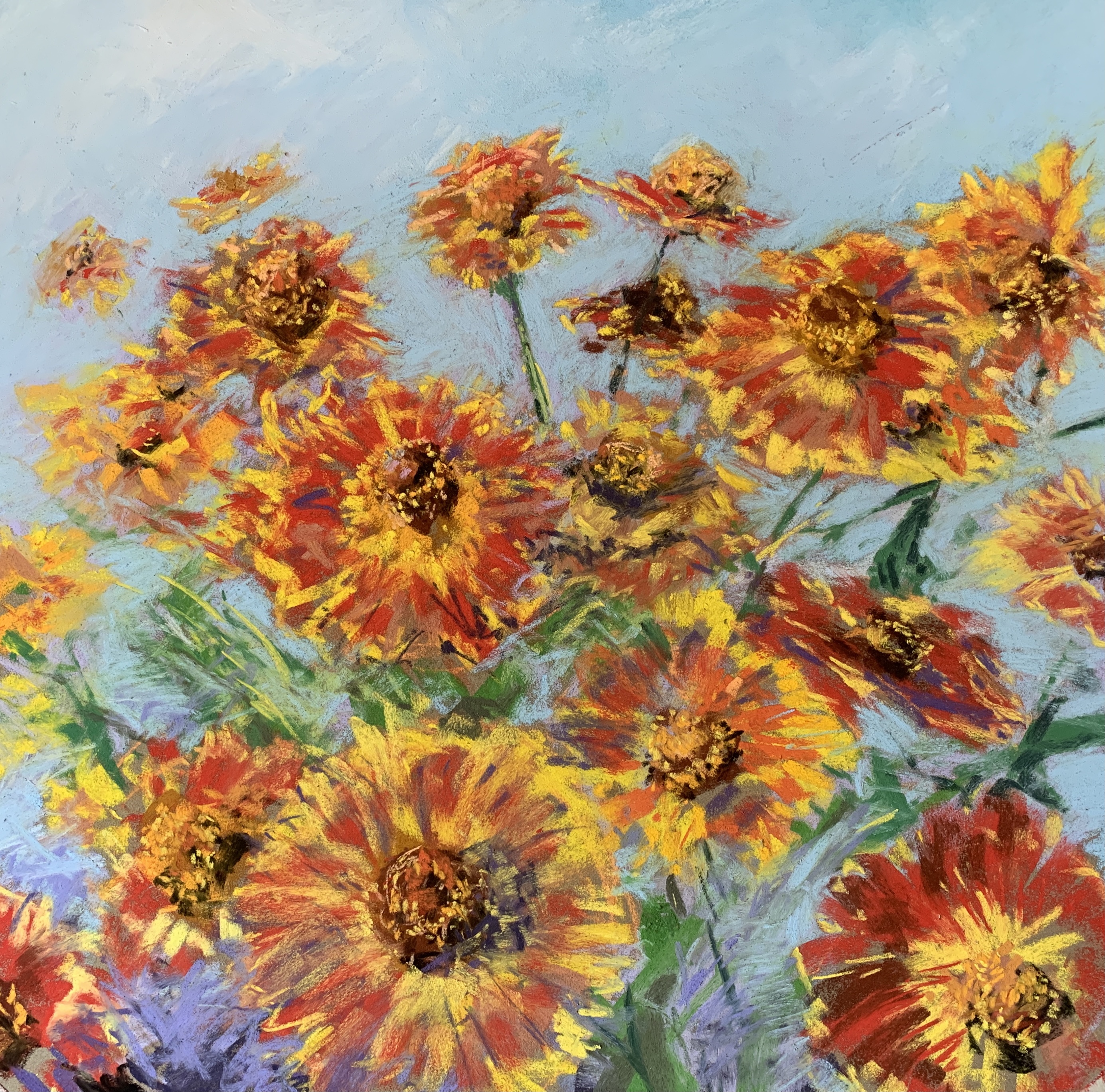 Rudbeckia (pastel, mounted)