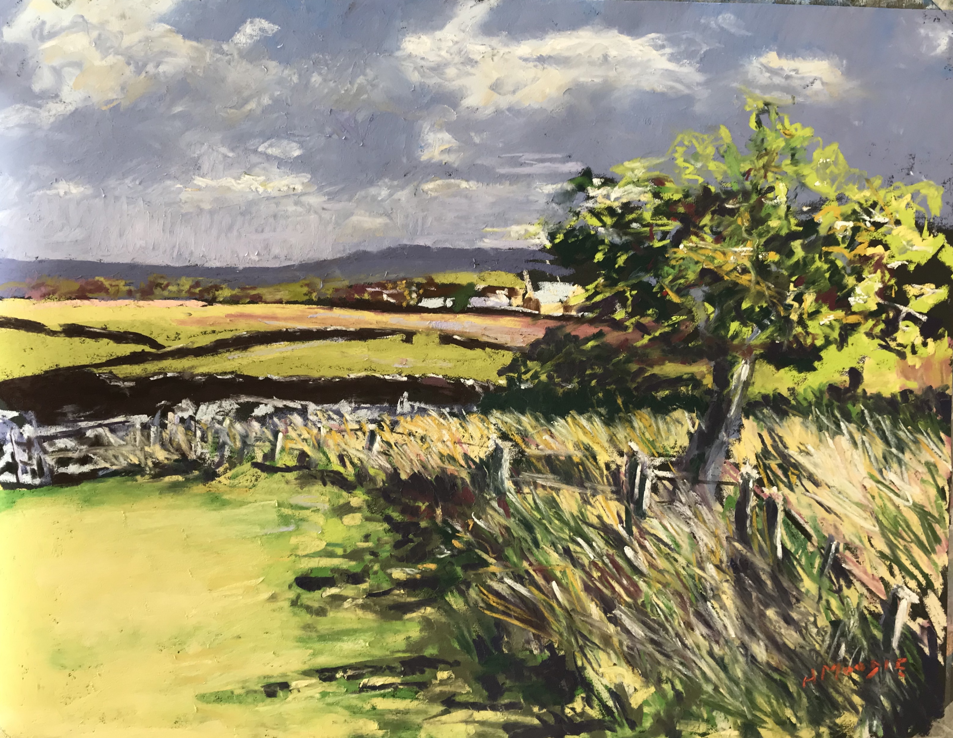 Afternoon Light (pastel, mounted)