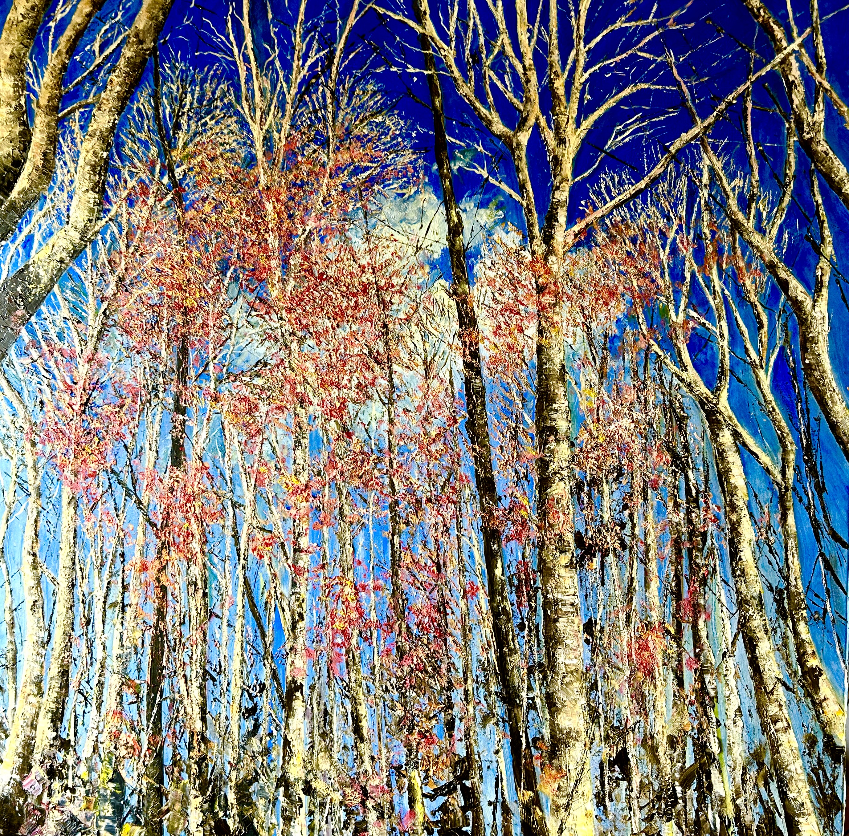 Birch Light (oil, framed)