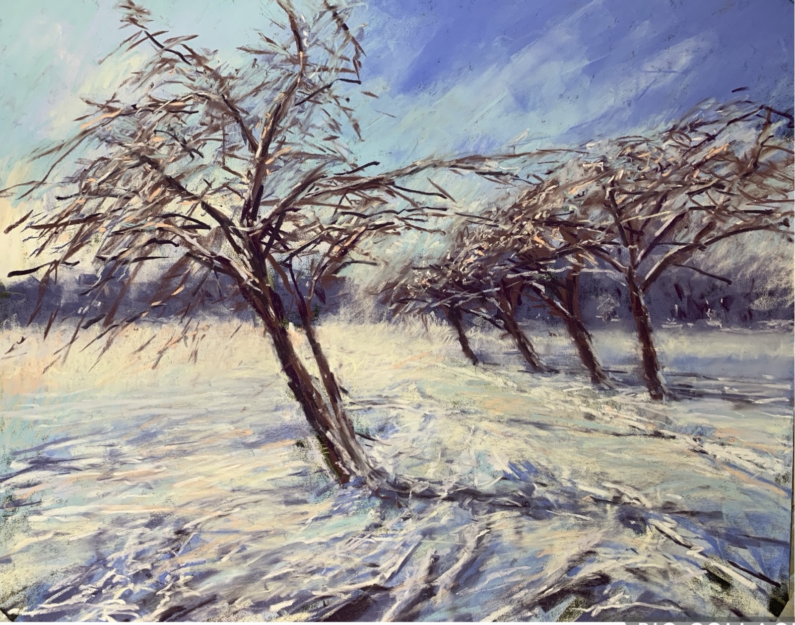 Winter Pathway (pastel, mounted)