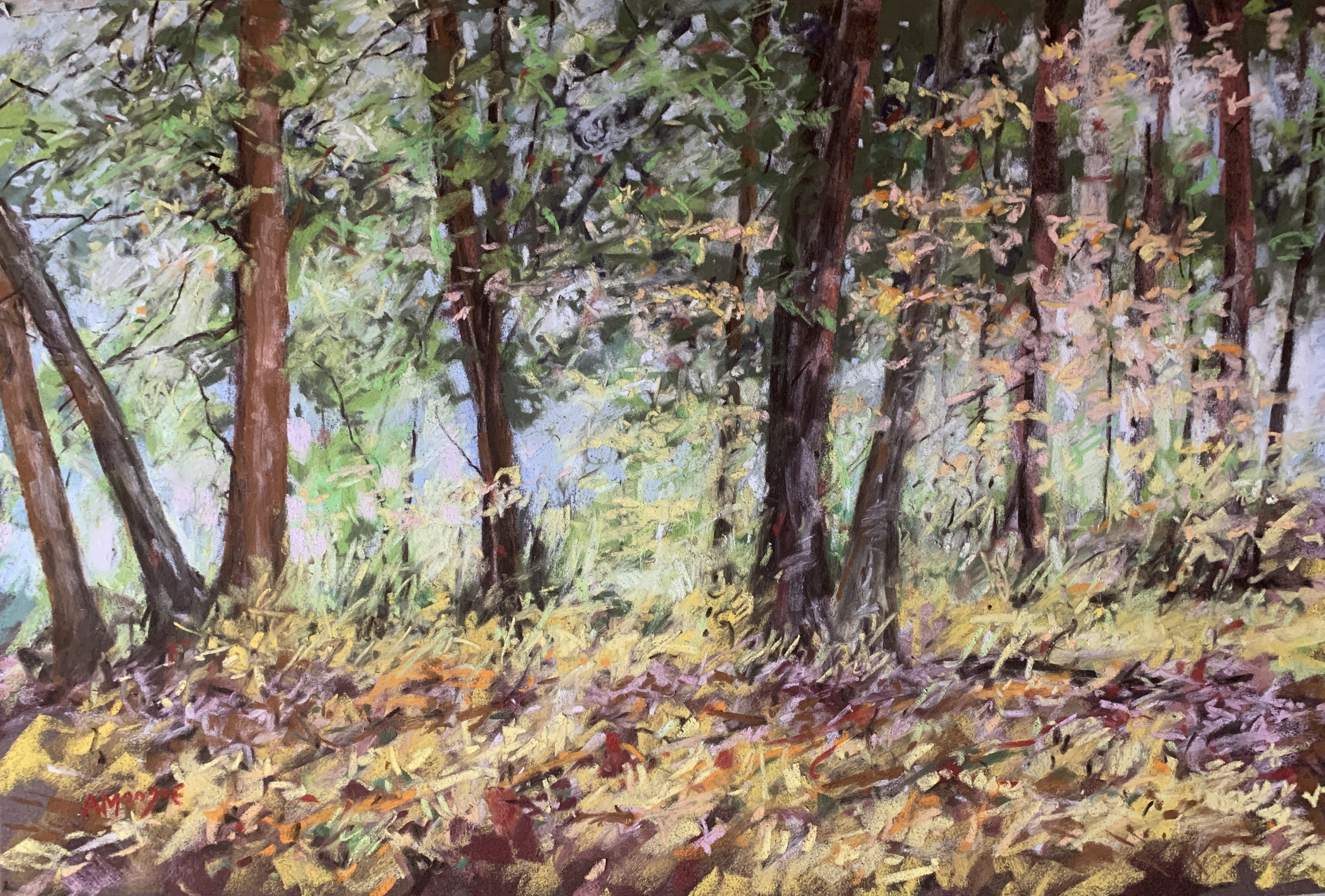 Woodland Fall (pastel, mounted)