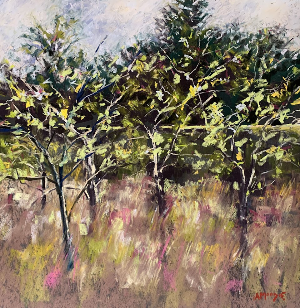 The Orchard, Nunnington Hall (pastel, mounted)