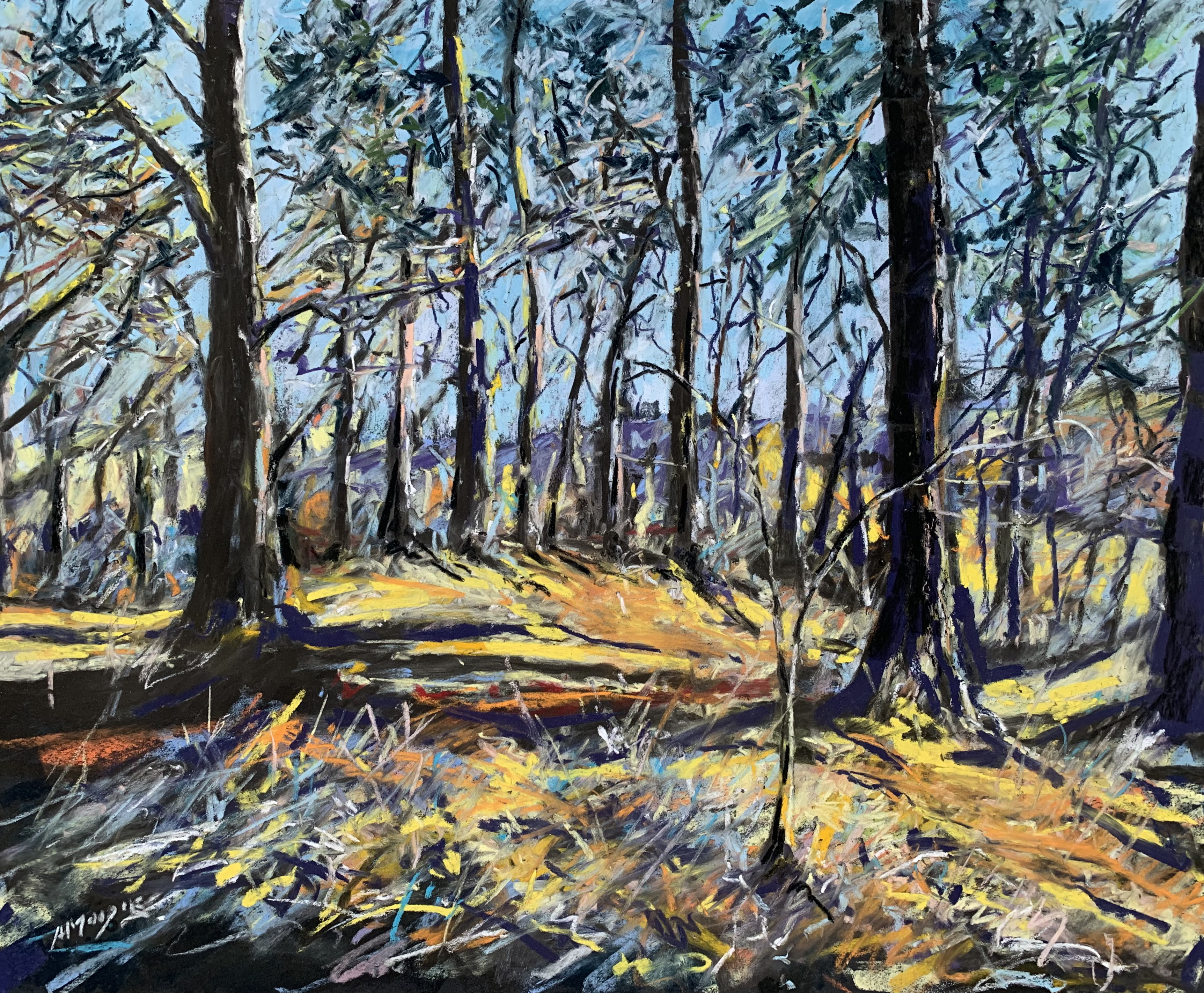 Woodland Walk (pastel, mounted)