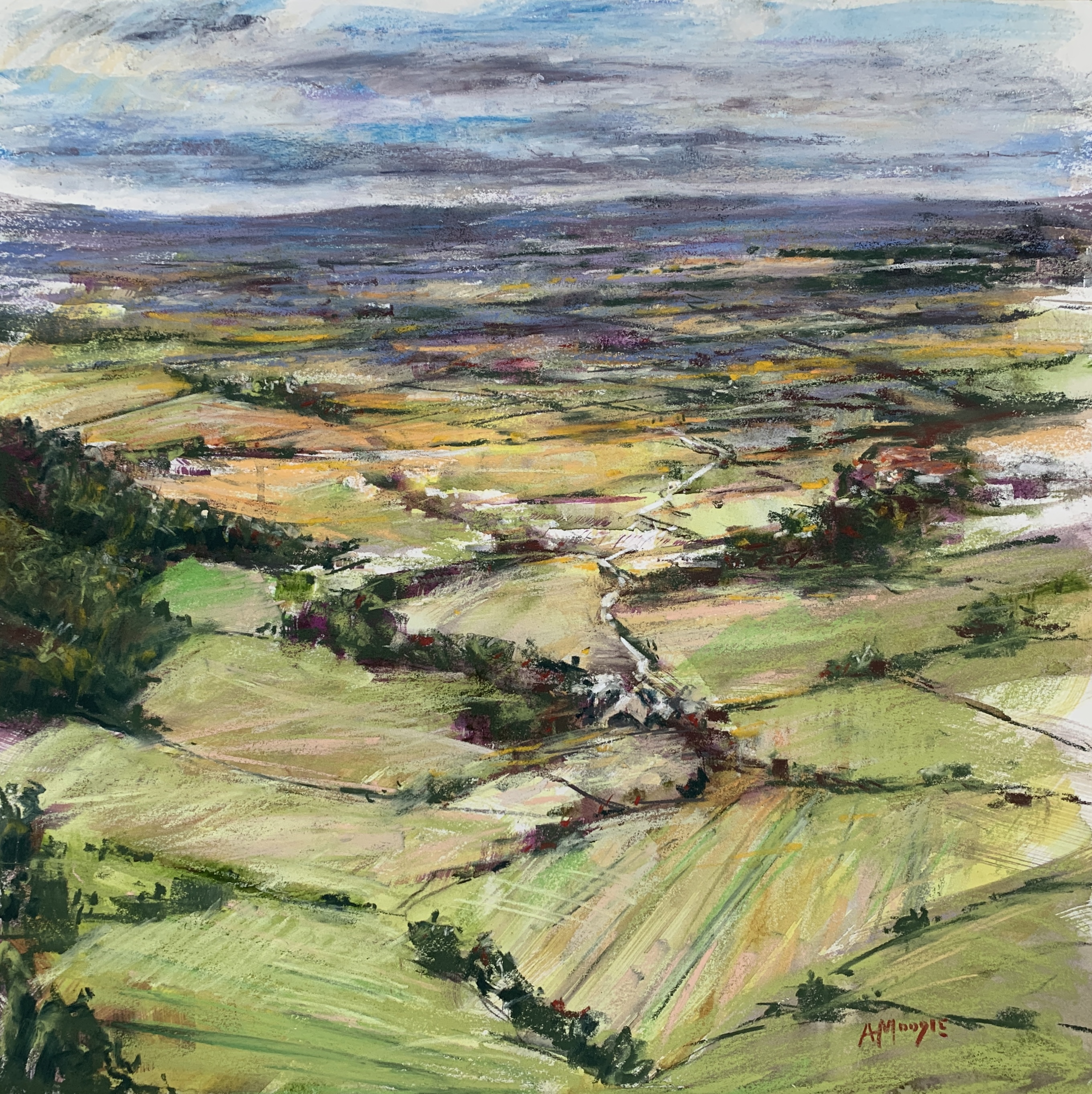 Vale of York from Sutton Bank (mixed media, mounted)