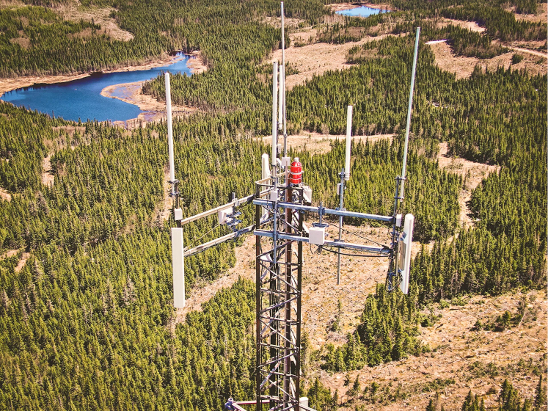 Cell tower rising above natural background, drone photo