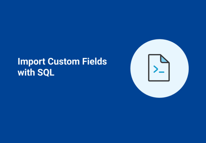 Import Custom Fields with SQL