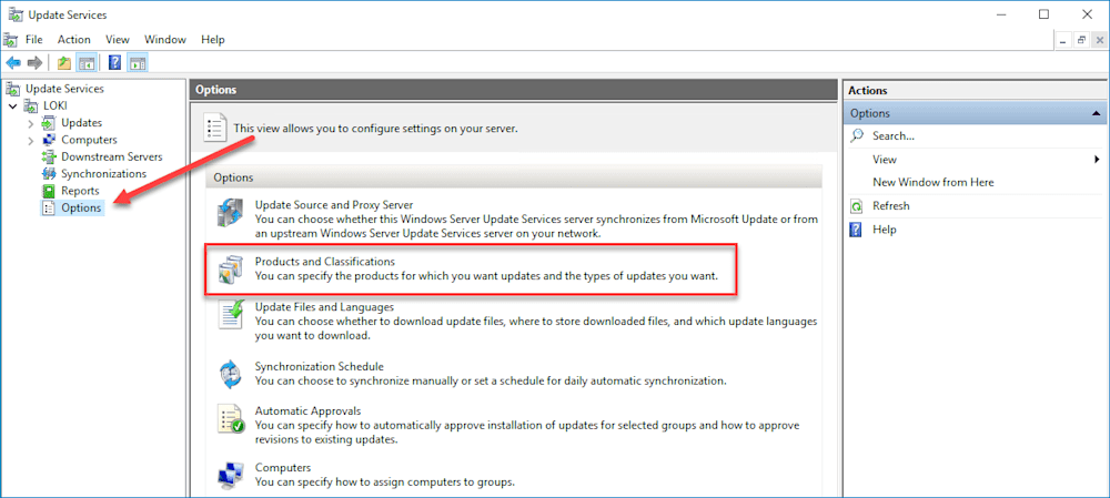 Screenshot showing Options in the WSUS navigation tree, then the Products and Classifications option.