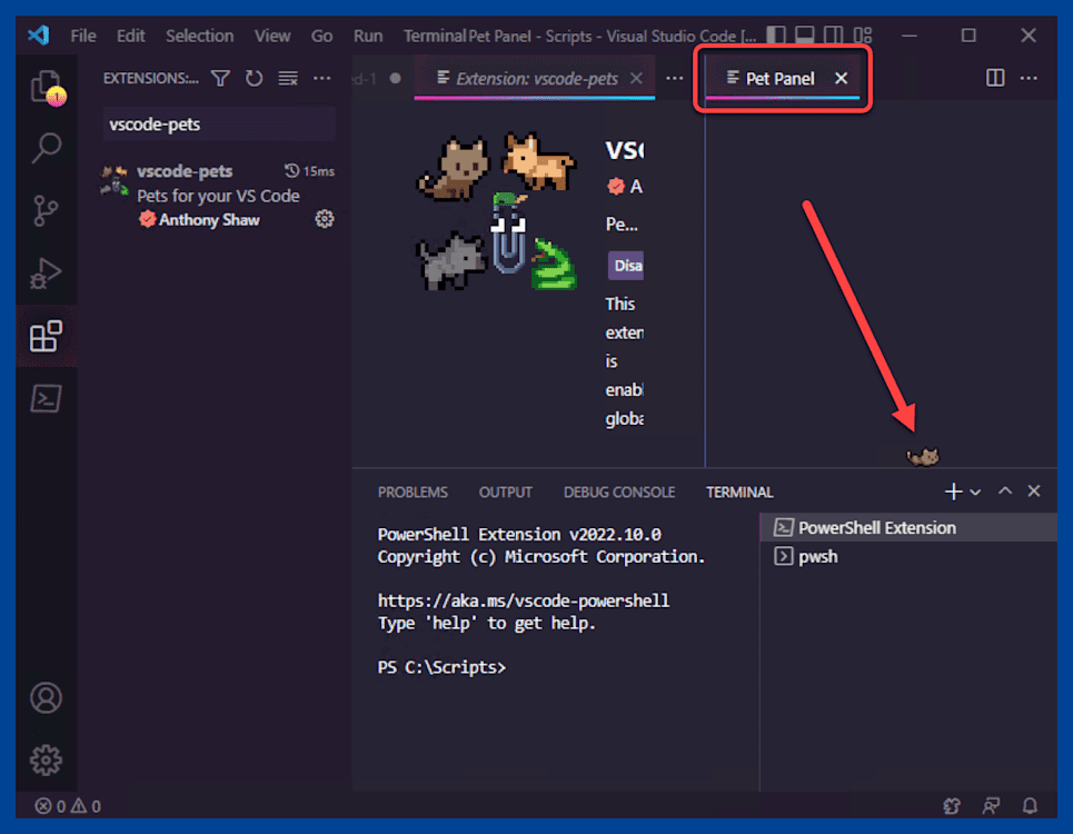 Showcasing the Pet Panel in VS Code