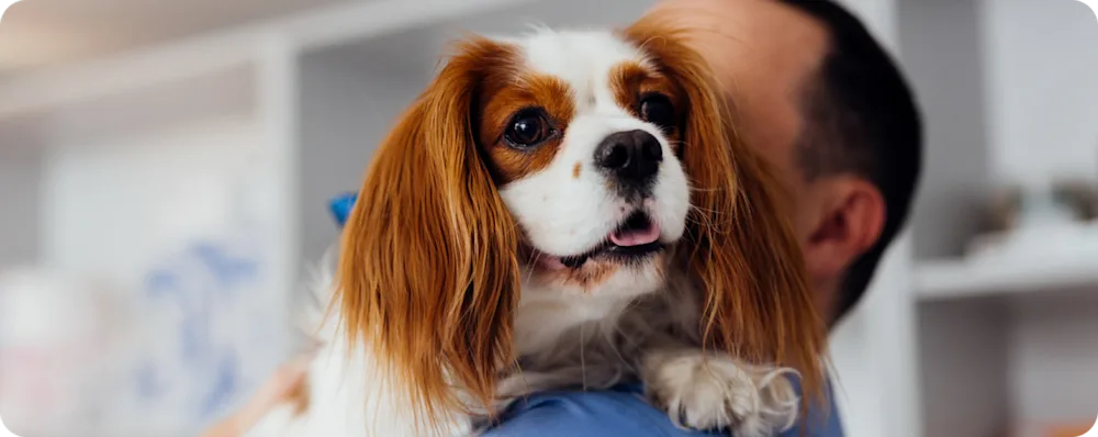 Fast, easy migration 2x