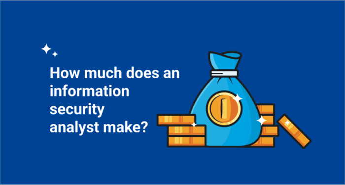 How much does an information security analyst make?