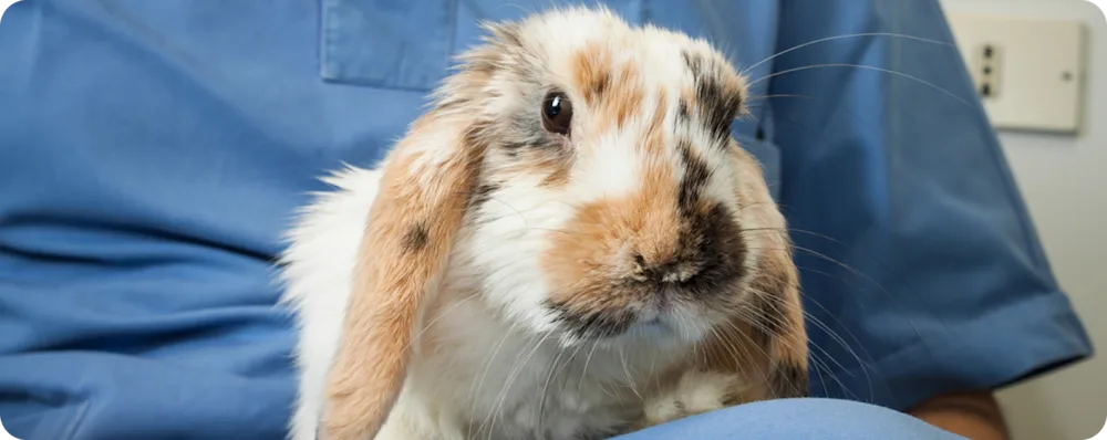 Improving deployment reliability