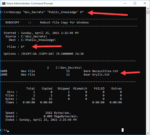 Screenshot of the Command Prompt showing what happens when you run the above code, explained in the following text.