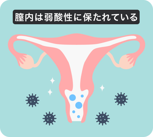 膣内は弱酸性に保たれている