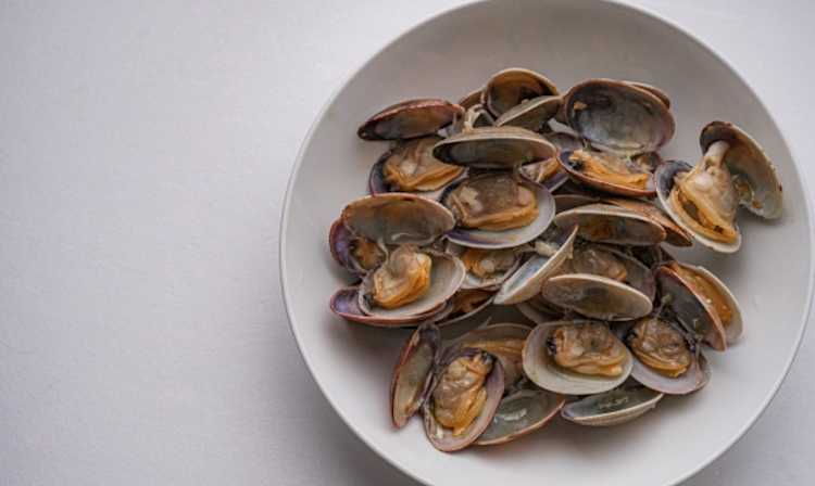 皿の上であさりの塩抜きをする様子