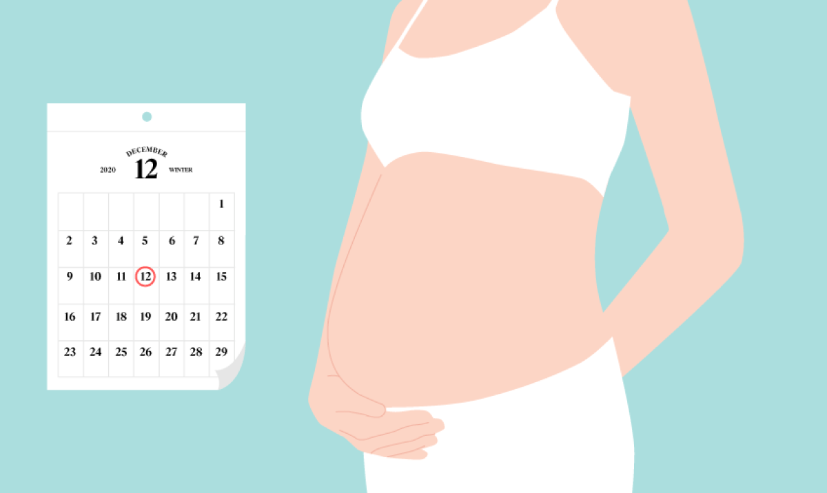 男性でもわかる!妊娠したときに身体に起こる変化