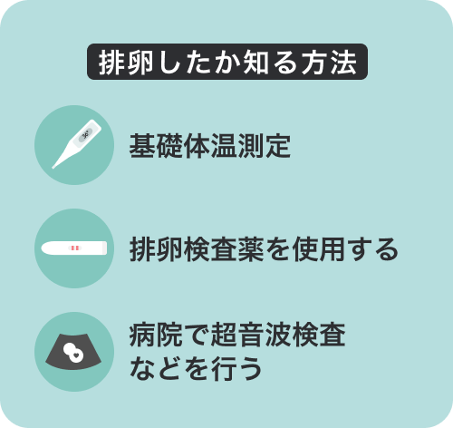 排卵したか知る方法