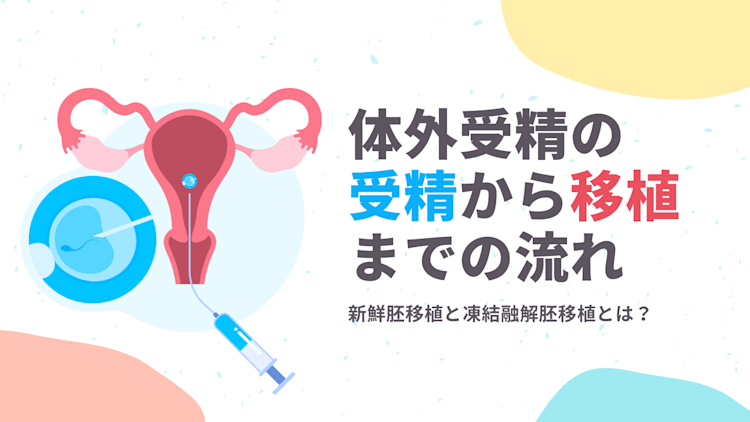 体外受精の受精から移植までの流れをご紹介!新鮮胚移植と凍結融解胚移植とは?