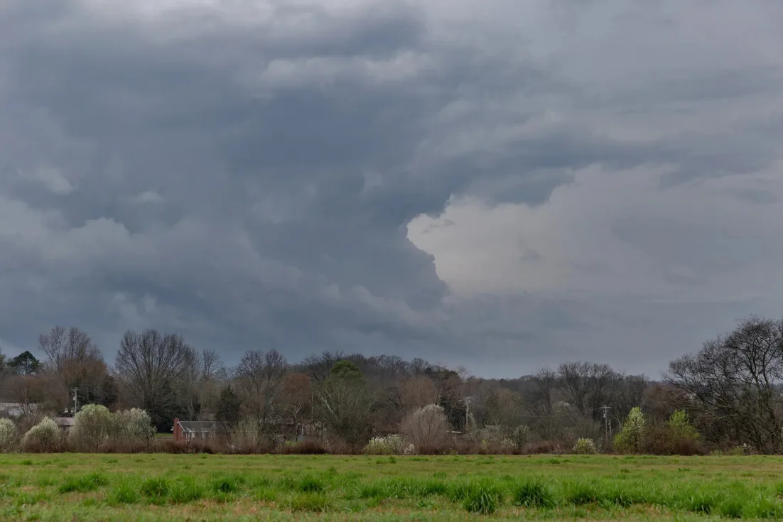 A stormy dark sky over a green field and line of trees.