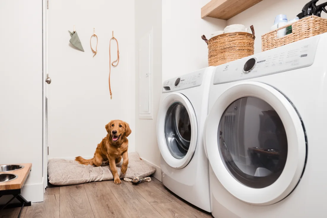 A tan dog sits on a dog bed in a laundry room beside the front-loaded washer and dryer.