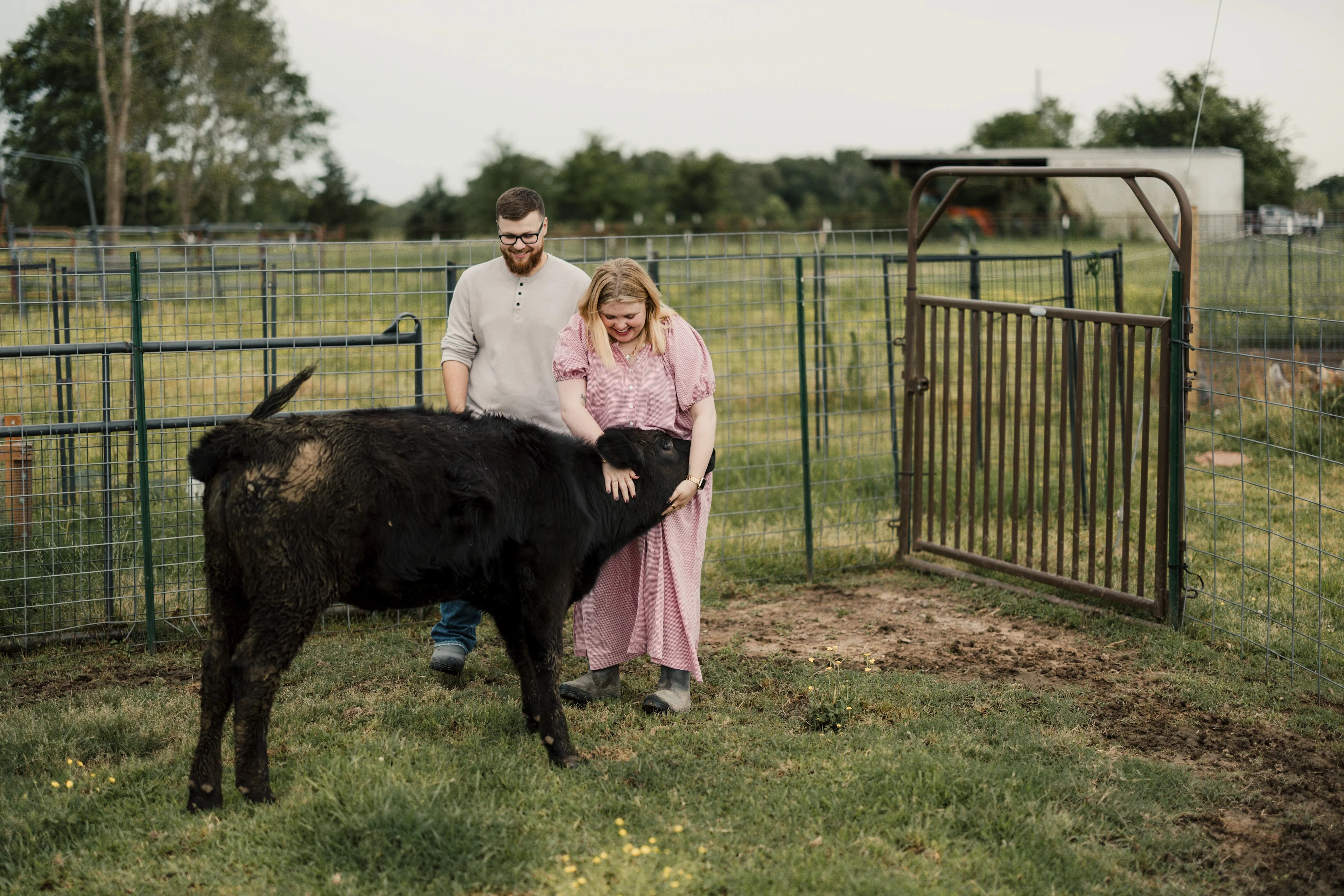 Koven and Josh Bruce petting their calf Penny.