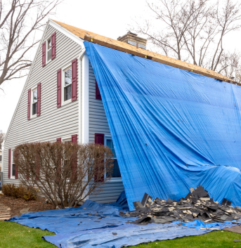Tarp, Tie-Down and Cord Accessories 