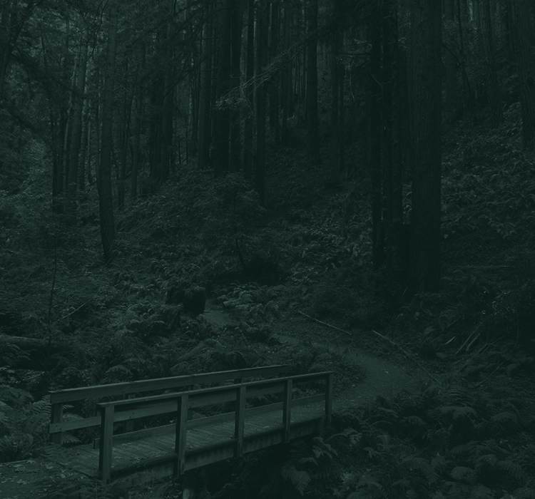 Los Altos area hiking trail. 