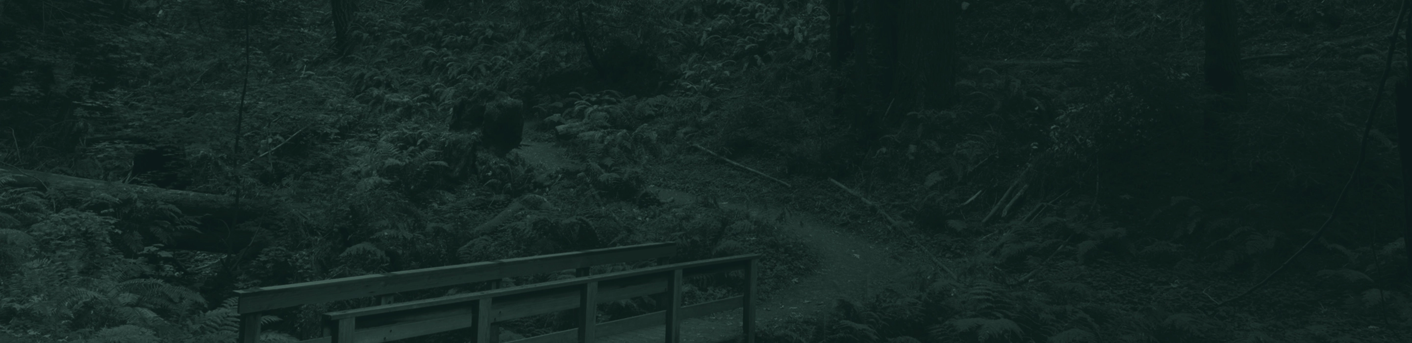 Los Altos area hiking trail. 